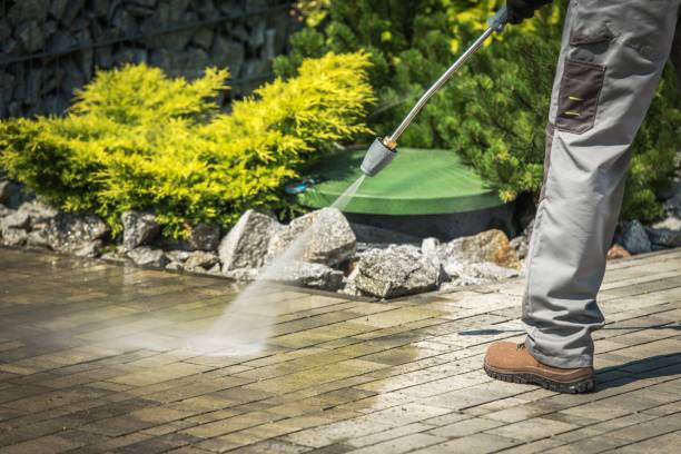 Best Soft Washing  in Holdrege, NE
