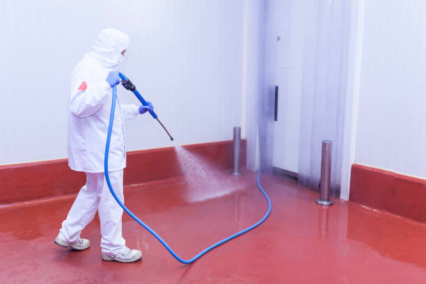 Best House Exterior Washing  in Holdrege, NE